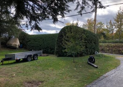 Les Entreprises TDH-Émondage photo 9