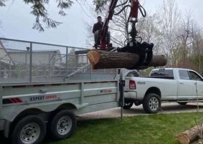 Les Entreprises TDH-Émondage photo 7